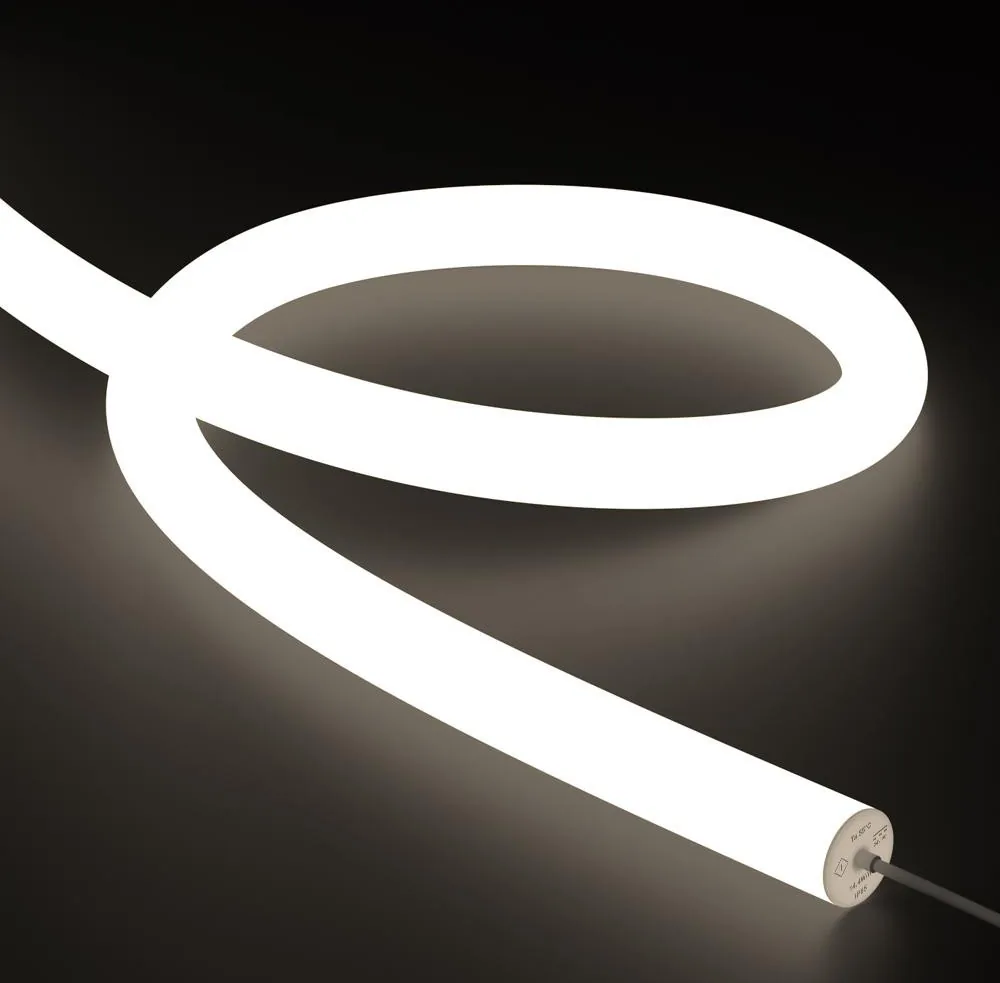 the neon tube itself