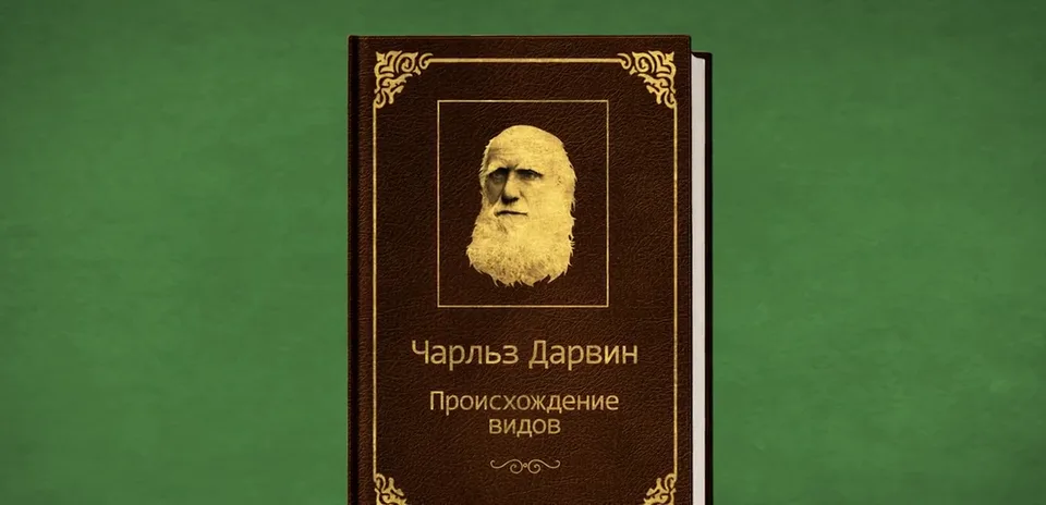 a frame of the film